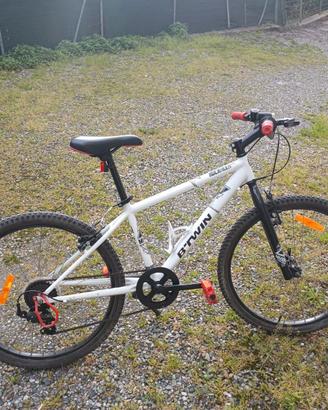 bicicletta