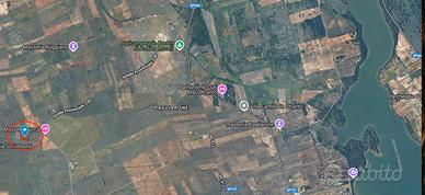 Terreno Agricolo/uliveto