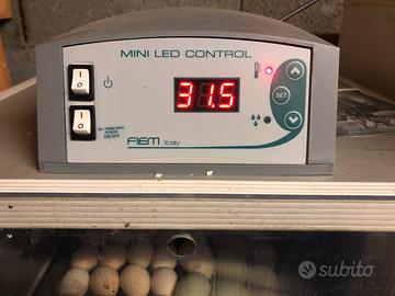 Incubare fiem 40 uova