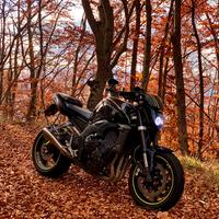 Yamaha FZ1 1000 – 2007