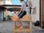 Immagine 3
