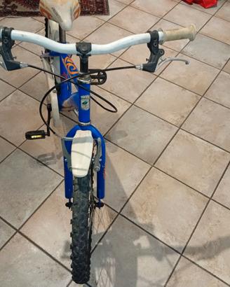 Bicicletta