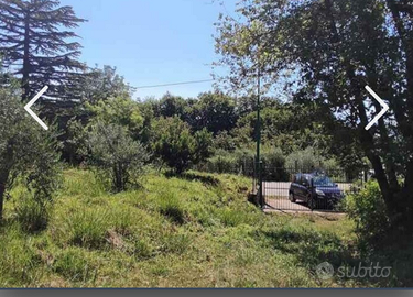 Terreno edificabile a Grottolella(AV)