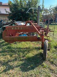 Ranghinatore Bcs