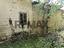 Immagine 25