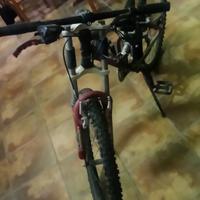 mountain bike