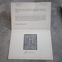 COLLEZIONE AVANZATA REGNO D'ITALIA 