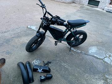 Bicicletta elettrica