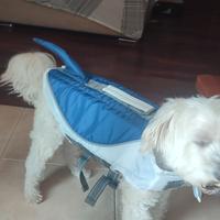 giubbotto di salvataggio per cani piccola taglia