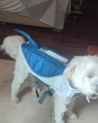 giubbotto di salvataggio per cani piccola taglia