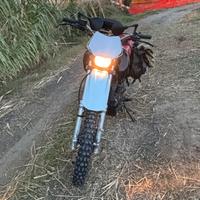 Honda Dominator