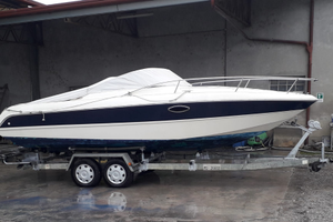 STINGRAY CS220 con carrello