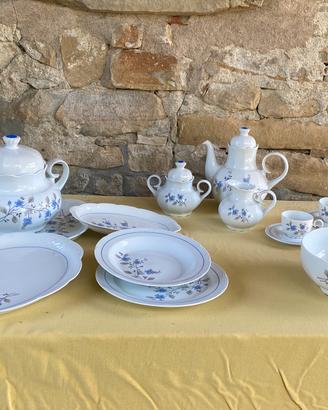 Servizio piatti e caffe da12 Waldenberg porcellana