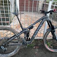 Canyon Strive cfr Underdog