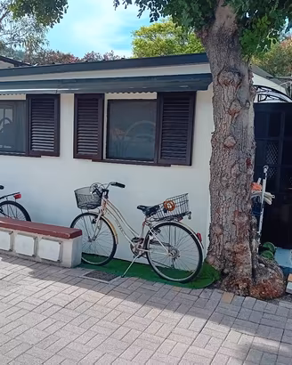 bungalow 