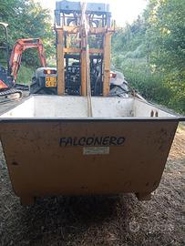 Muletto Falconero