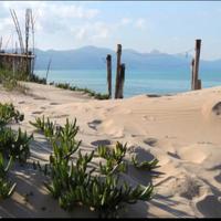 Apri la finestra e respira il profumo del mare