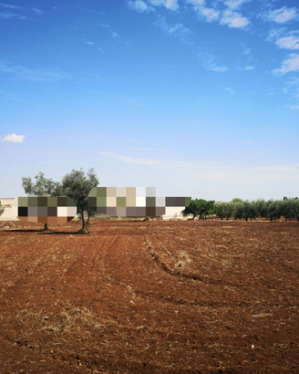Terreno agricolo