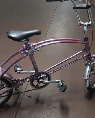 Bicicletta pieghevole Carnielli Big Fish