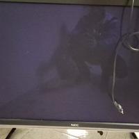 Monitor al plasma
