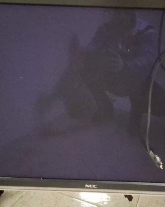 Monitor al plasma