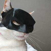 Maschera Batman per gatti