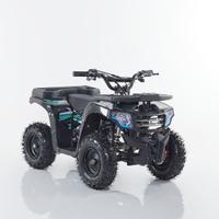 Miniquad M4ES-R6