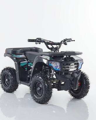 Miniquad M4ES-R6