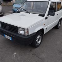 Fiat Panda 1100 i.e. cat Young
