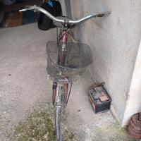 Bicicletta Donna 