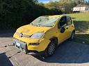 fiat-panda-1-0-firefly-s-s-hybrid-pandina