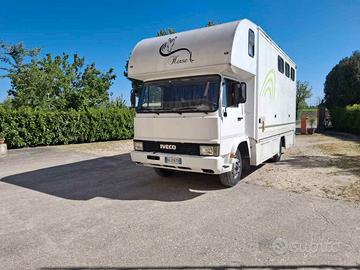 FIAT IVECO TRASPORTO CAVALLI