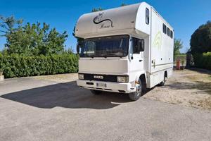 FIAT IVECO TRASPORTO CAVALLI