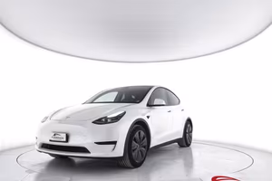 TESLA Model Y Single Motor rwd