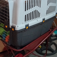 Per mancanza di tempo mi separo