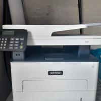 Stampate