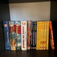 Geronimo Stilton Lotto Libri