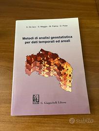 Libro di geostatistica