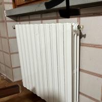 Termosifoni in ghisa bianchi