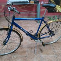 Bici da uomo