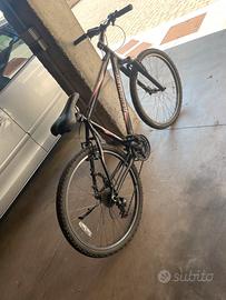 Mountain bike