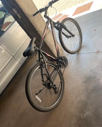 Mountain bike
