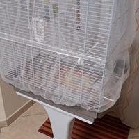 Gabbia con piedistallo