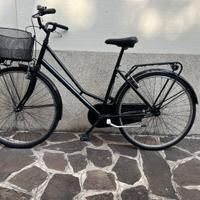 Bicicletta Olanda ruote 26