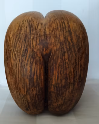 cocò de mer anni 70