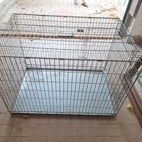 gabbia kennel cane 