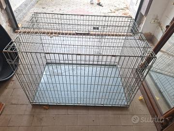 gabbia kennel cane 