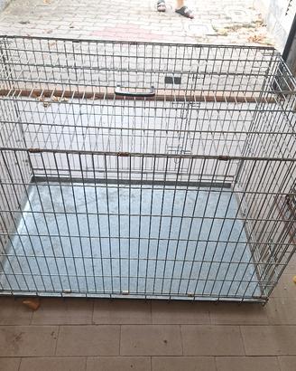 gabbia kennel cane 