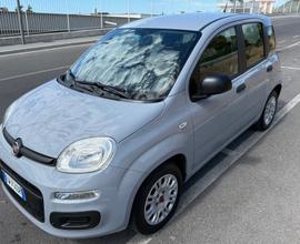 Fiat Panda 1.2 Easy - FINANZIABILE SENZA ANTICIPO 