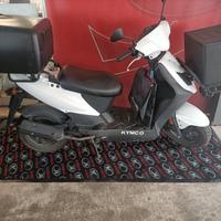 Kymco Agility Carry 50 - 2020 - Pizzerie Poste